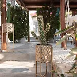Sunrock - Margarita